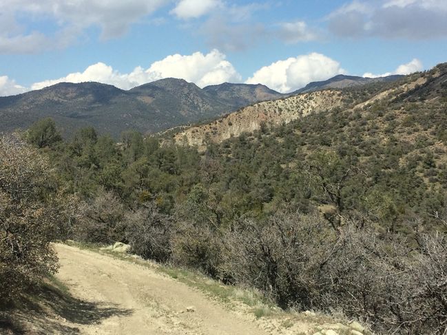PCT454-652_080.JPG