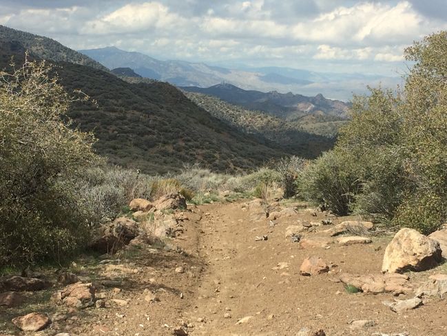 PCT454-652_081.JPG