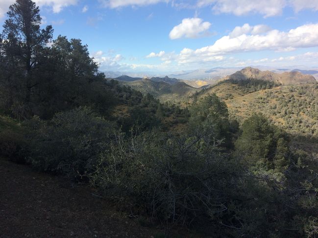 PCT454-652_082.JPG