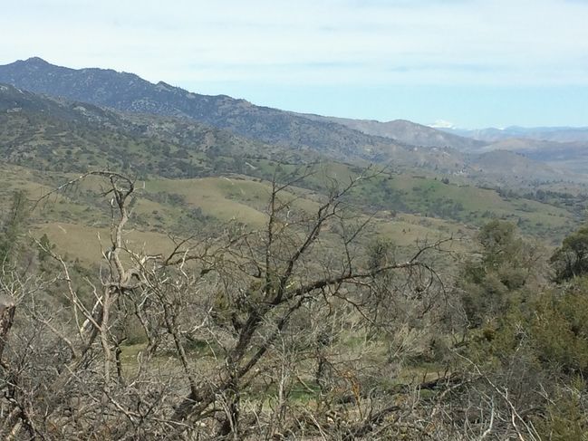 PCT454-652_088.JPG