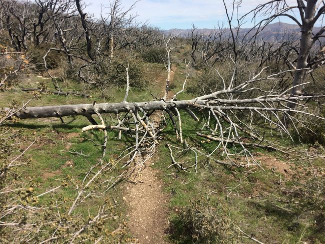 PCT454-652_089.JPG