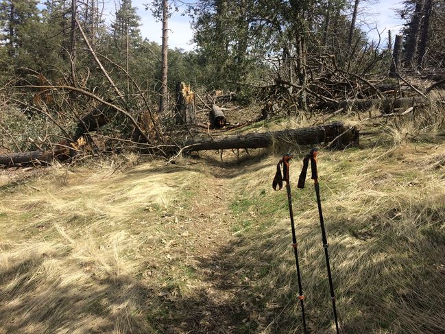 PCT454-652_090.JPG