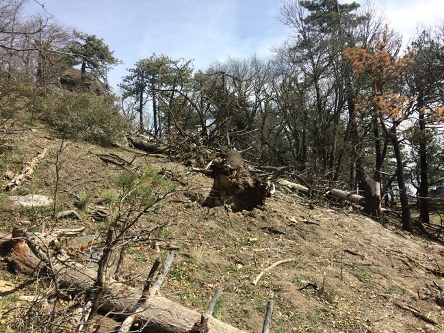 PCT454-652_091.JPG