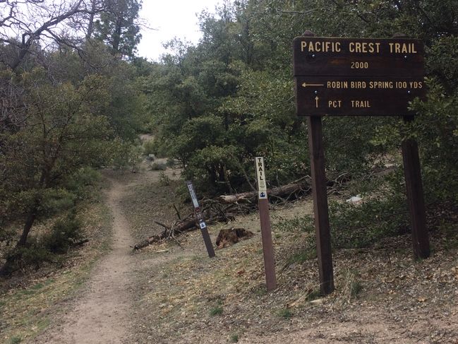 PCT454-652_092.JPG