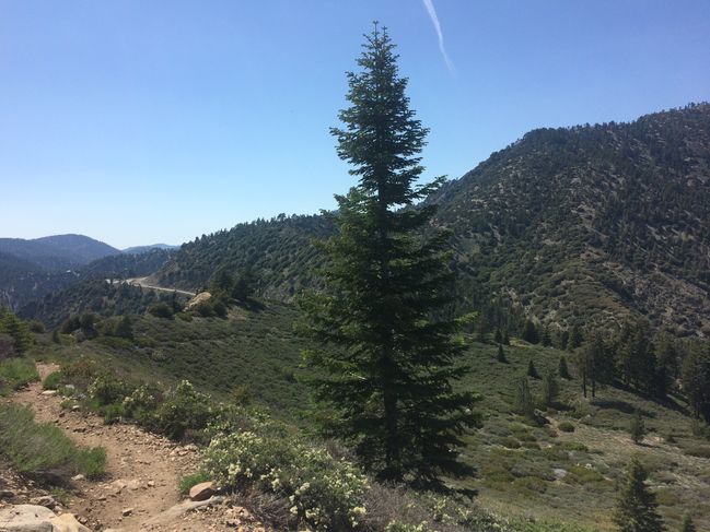 PCT374-454_054.JPG