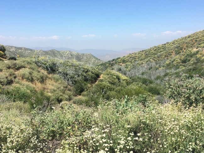 view from North Fork Ranger Station
