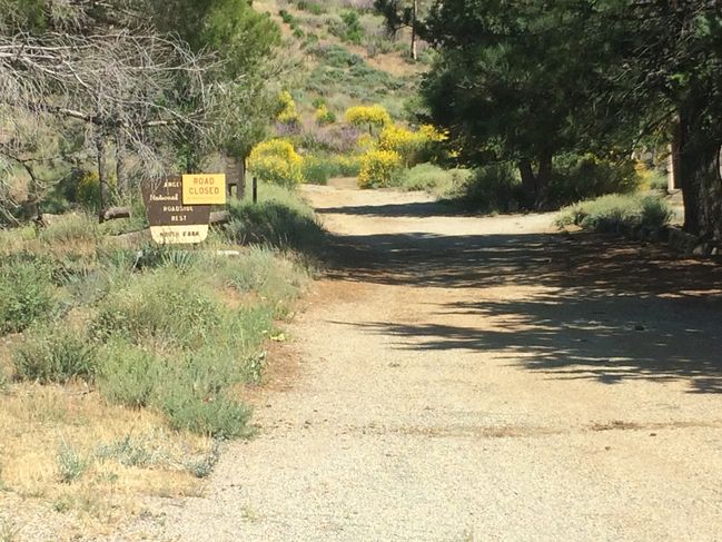 North Fork Ranger Station - WATER!
