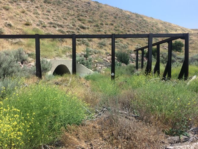 PCT tunnel under HWY 14
