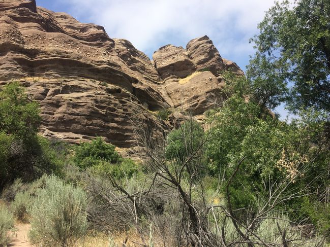 Vasquez Rocks 
