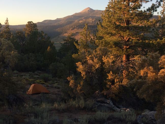 PCT652-942_041.JPG