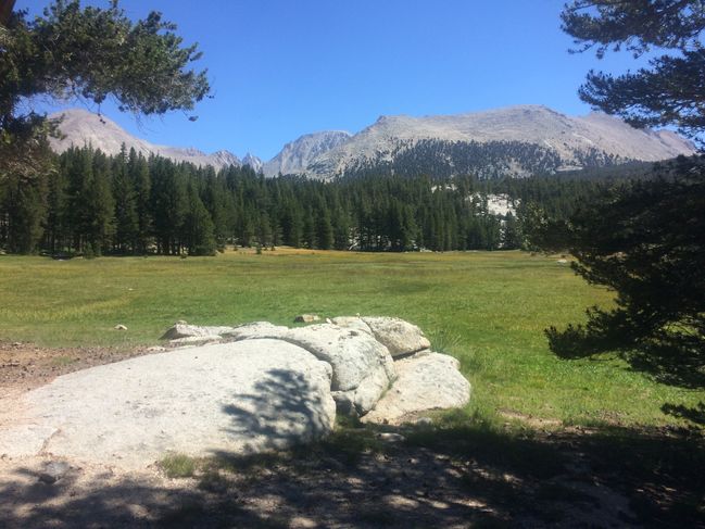 8/16/19 Sierra Meadow
