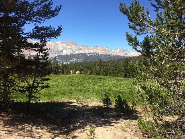 8/16/19 Sierra Meadow
