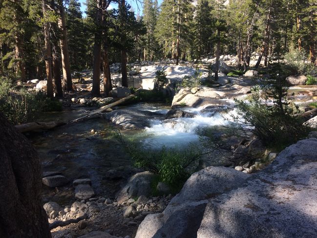 PCT652-942_118.JPG