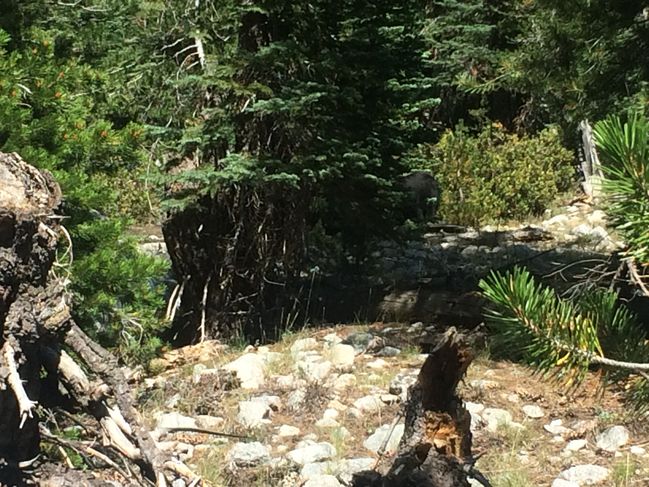 PCT652-942_131.JPG
