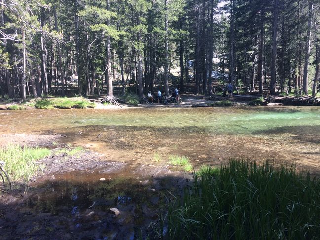 8/20/19 Ford of Evolution Creek
