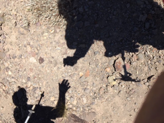 10/10/19 Descending to Ebbett's Pass

