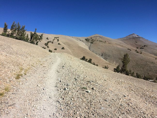 10/8/19 ascending to 11,000 for the last time on PCT
