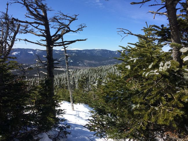 From Summit of Mt. Field
