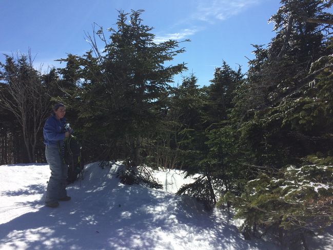From Summit of Mt. Field
