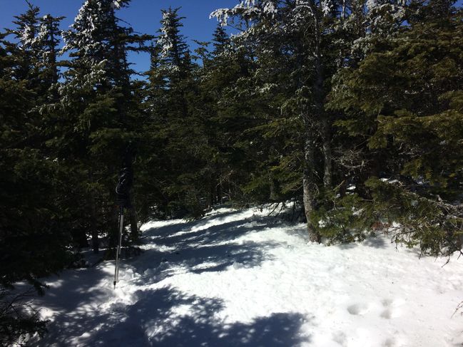 From Summit of Mt. Field
