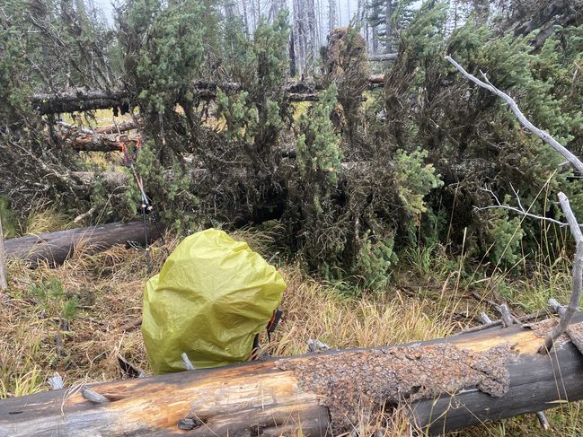 10/13/20 Bad Blowdowns in Crater Lake National Park
