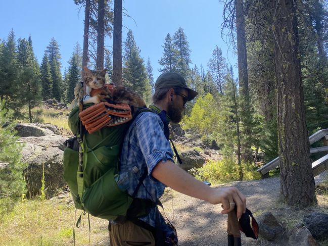 8/8/20 Thruhiker with cat on his back whole way
