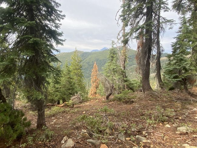 8/17/20 view from campsite
