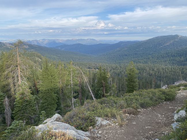 8/18 Morning Views
