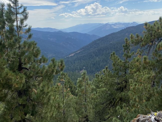 8/18/20 Afternoon views from trail
