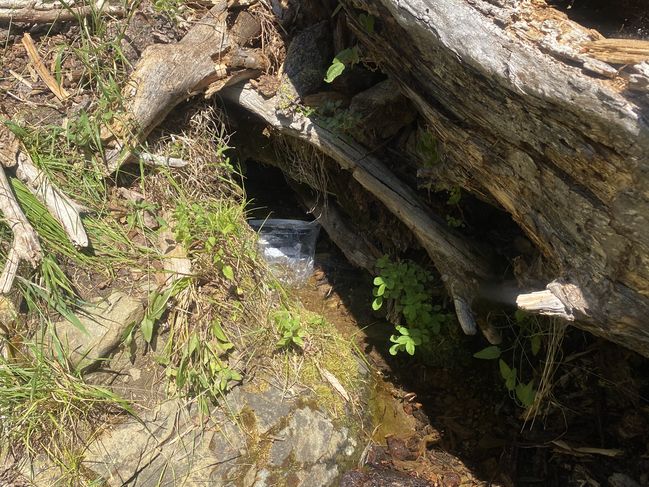 8/19/20 Water gathering challenges
