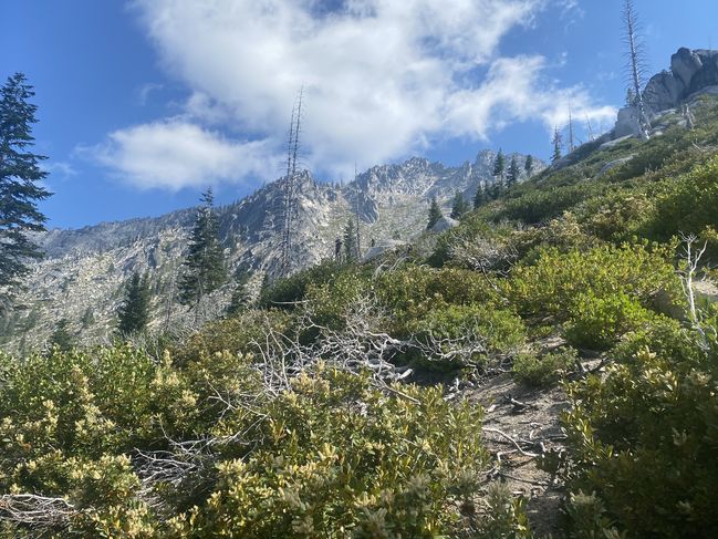 8/21/20 views from PCT
