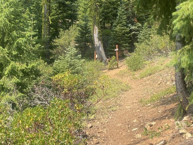 8/26/20 Califormia/Oregon border
