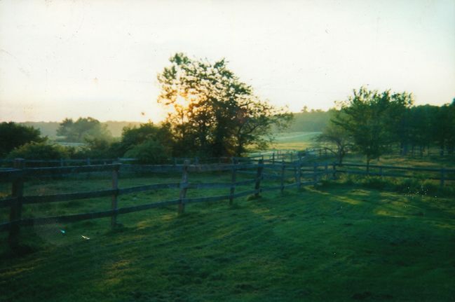 View of backyard behind EL showing new fencing CA 1989 with a view of Kay's fields in distance
