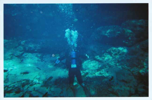 Ginny Springs Cavern Diving 
