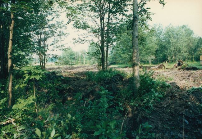 2020-05-11-09-41-0020.jpg