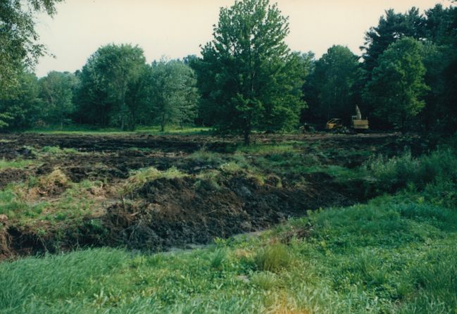2020-05-11-10-11-0018.jpg