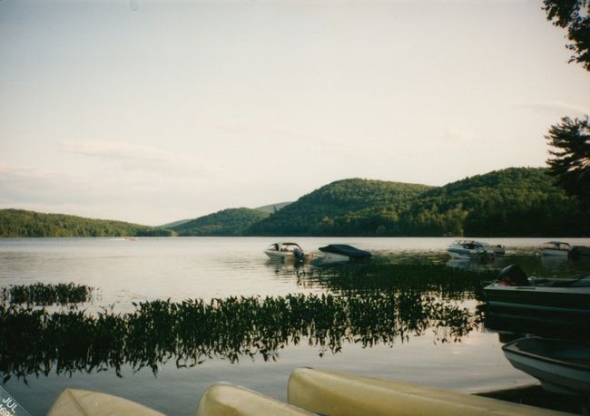 2020-05-11-10-11-0046.jpg