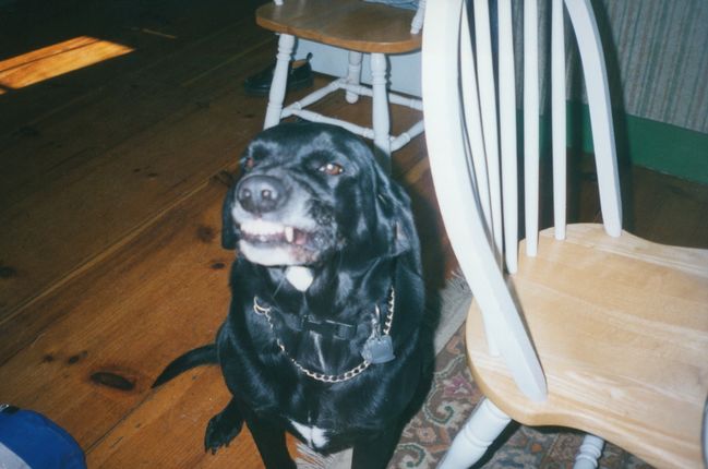 Jack smiling in kitchen
