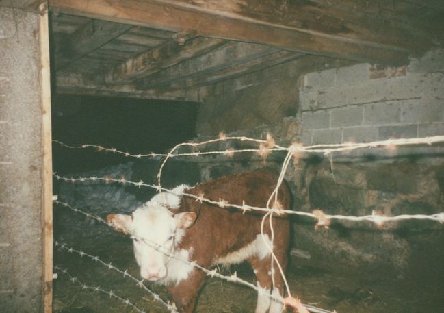 Bondgarden underbarn ca 1992

