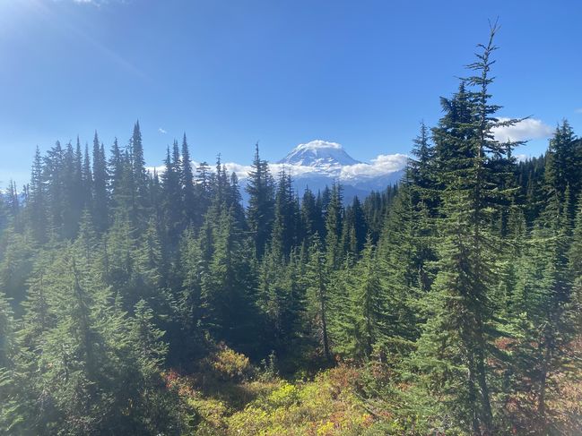 9/20/21 Scenery
