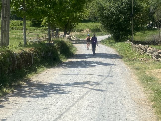05/13/22 Palas del Rei to Arzua
