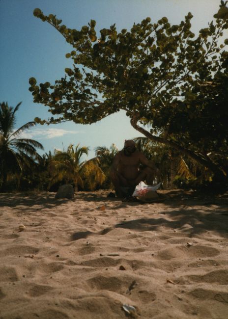 beach scene on a cayo

