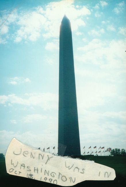 The Washington Monument
