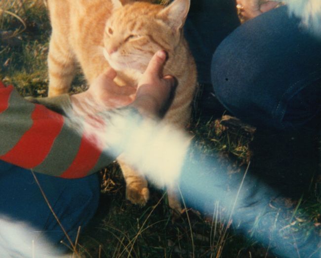Tigger
