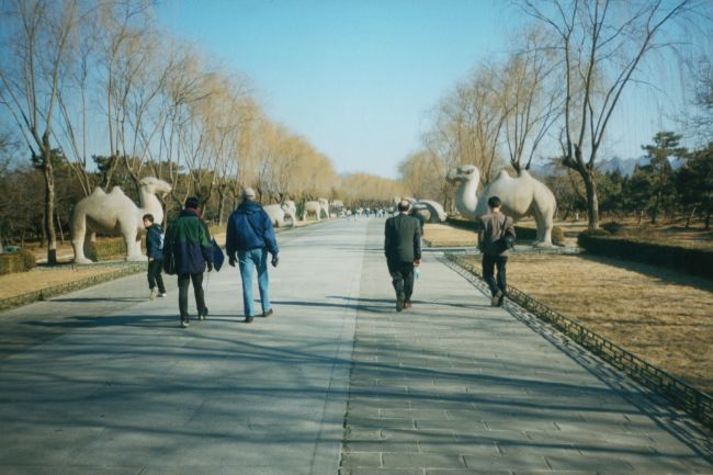 Chinese park on a blustery fall day 
