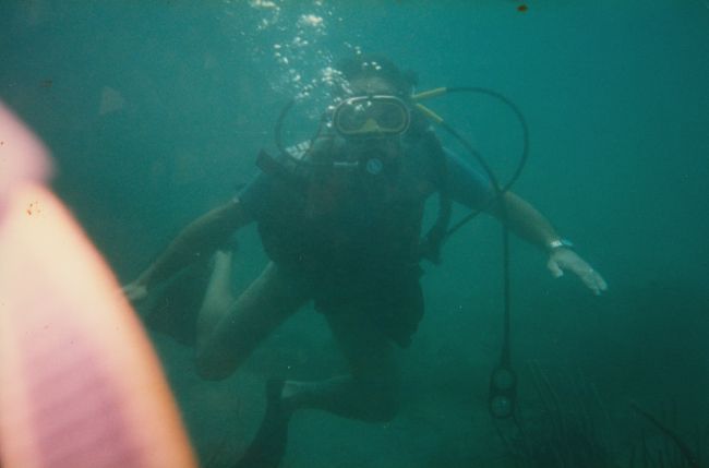 Paul diving in PLC
