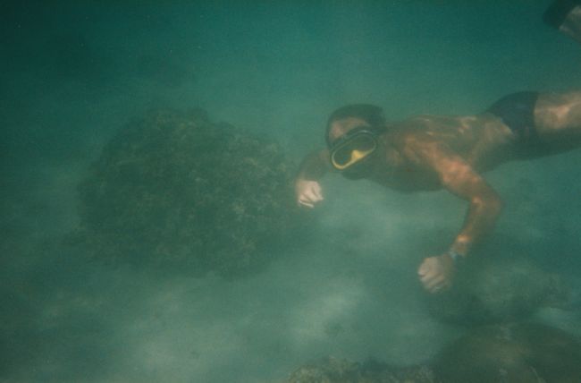 Paul snorkeling near PLC
