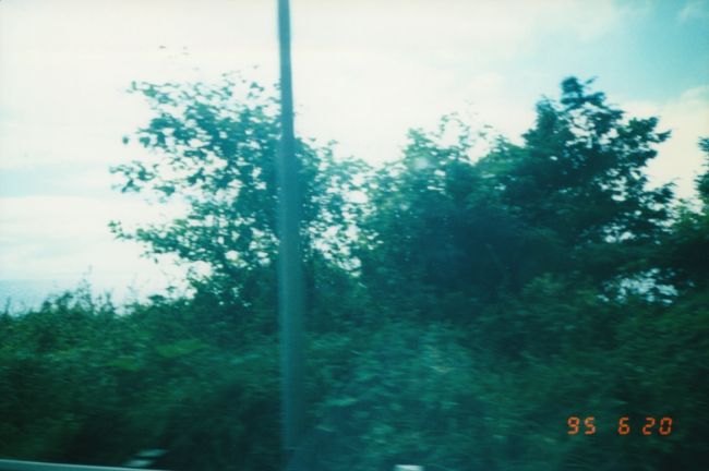2023-04-24-09-03-0027.jpg