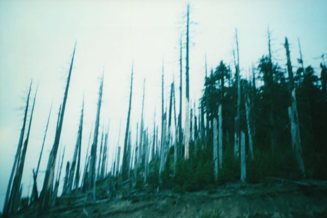 Mt. St. Helen's
