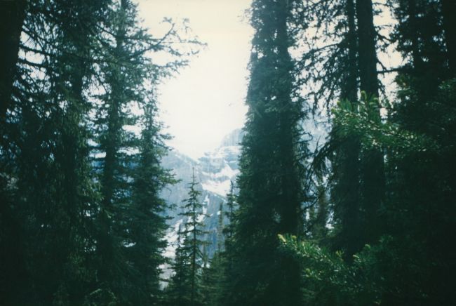 Glacier National Park
